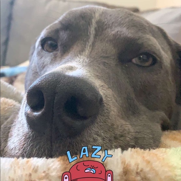 Meet your Posher, Tabitha - Picture 1 of 1